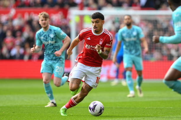 的青训建设 的青训建设